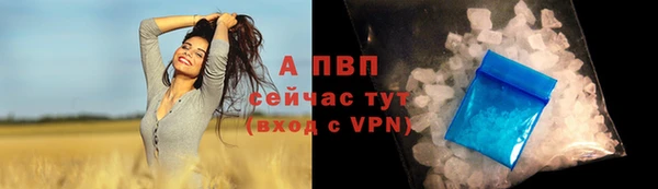 крисы Инсар