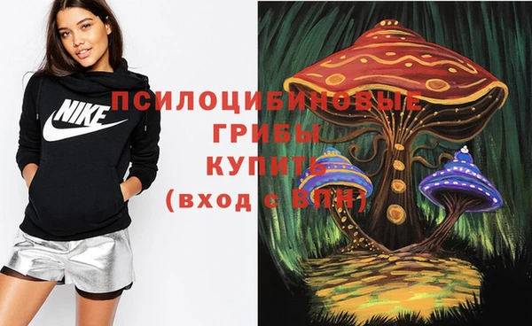 мдпв Каменск-Шахтинский