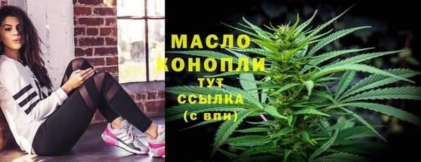 крисы Инсар